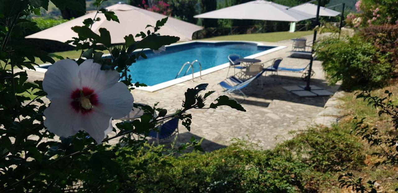 Case In Campagna Con Piscina A Тоди Экстерьер фото